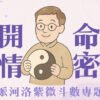 從命盤看懂愛與執著：北派紫微斗數的人心洞察課